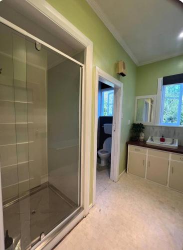 a bathroom with a shower with a toilet and a sink at Destination Cliff Top - Cottage and Homestead in Ohingaiti