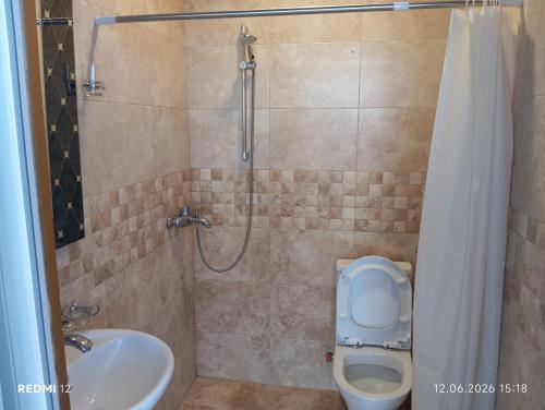 a bathroom with a shower and a toilet and a sink at Hotel Marina in Shekhvetili