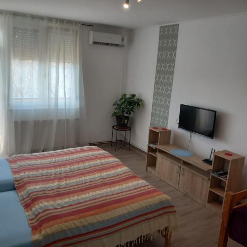 a bedroom with a bed and a flat screen tv at Acceptus Domus in Szombathely