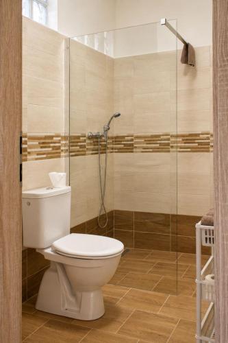 a bathroom with a toilet and a glass shower at Penzion U Kyjovky, Týnec in Týnec