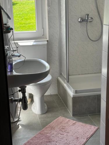 a bathroom with a sink and a toilet and a shower at Haus Charenza in Garz