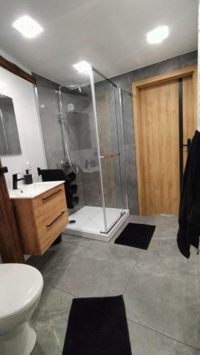 a bathroom with a shower and a toilet and a sink at Damianówka in Paczkówek