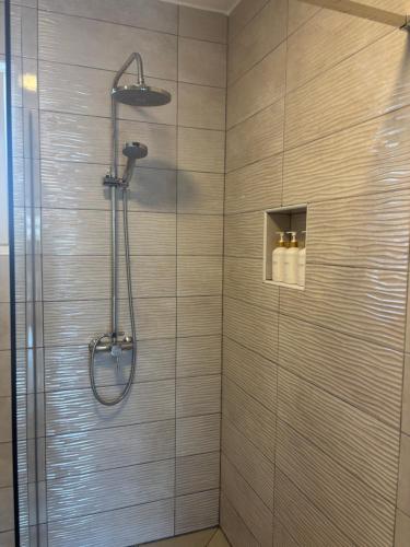 a shower with a shower head in a bathroom at Aniva in Drage