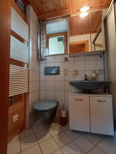 a bathroom with a toilet and a sink at Rauchenberg Apartments in Lofer