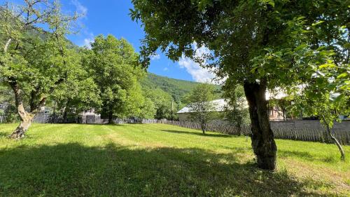 a green yard with trees and a fence at Cozy Corner Inn in Ushkhvanari
