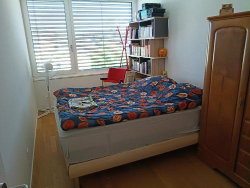 a bedroom with a bed and a book shelf at Chez Elsa et Agou - chambre confortable chez l'habitant in Courtepin