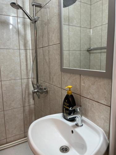 Garsoniera Centru tesisinde bir banyo