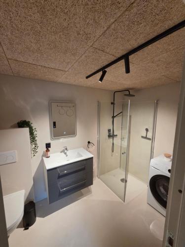 a bathroom with a sink and a shower at Lofoten Apartment 01 in Leknes