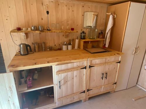 eine Küche mit Holzschränken und einer Arbeitsplatte in der Unterkunft Beaver Cabin in Mora