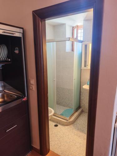 a bathroom with a shower and a toilet in it at Kastri in Kythira