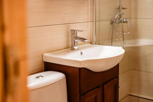 a bathroom with a sink and a toilet and a shower at Casa de oaspeți in Brad