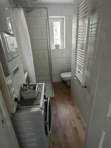 a small bathroom with a sink and a toilet at Ewula in Giżycko