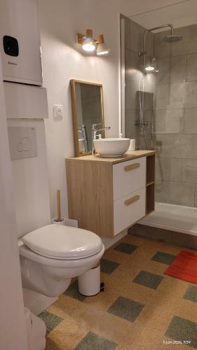 a bathroom with a toilet and a sink and a shower at T2 dans le centre historique de Manosque in Manosque