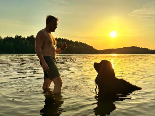 a man and a dog in the water at sunset at Dom Widny Jaś zaprasza nad jezioro na Kaszuby in Sulęczyno