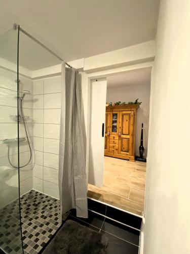 a bathroom with a shower with a glass door at Charmante Ferienwohnung unter Reet in Windbergen