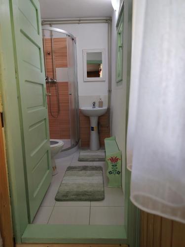 a bathroom with a toilet and a sink and a door at Casuta Mariei, Borsa,Maramures in Borşa