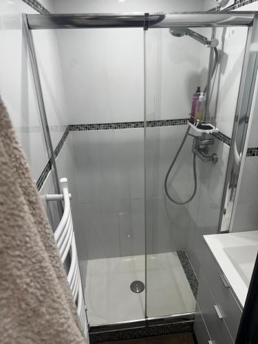 a shower with a glass door next to a sink at La Pinéa 40 m2 T2 climatisation, tram E et parking in Saint-Égrève