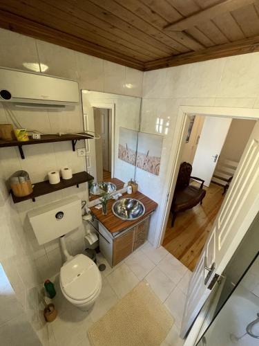 a bathroom with a toilet and a sink at Casa das Marias by Gerês Casas in Geres