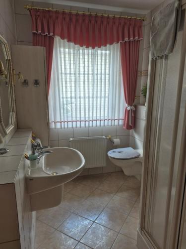 a bathroom with a sink and a toilet and a window at Gastenverblijf Franz-Marc in Bad Bentheim