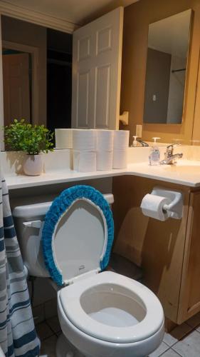a bathroom with a toilet with the seat up at Urban Nest in Toronto