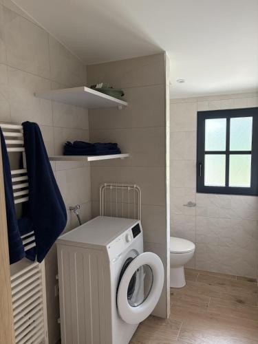 a bathroom with a washing machine and a toilet at Appartement SUOMI in Saint-Sorlin-en-Bugey