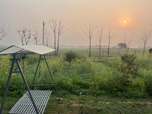 a camera on a tripod in a field at sunset at RajKamal's Farm in Borās
