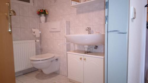 a bathroom with a toilet and a sink at Fewo-Mirnig in Hochrindl