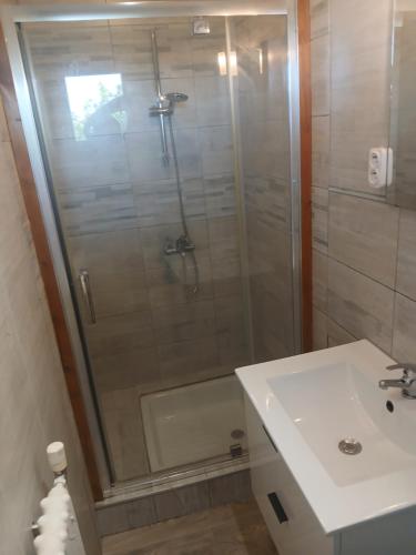 a bathroom with a shower and a sink at Gite Atchoum in Hostun