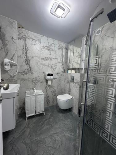 a bathroom with a shower and a toilet and a sink at Frăția Corsarilor in Sulina