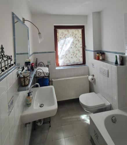 a bathroom with a sink and a toilet and a window at Ferienappartement Tal der Liebe in Sauerthal