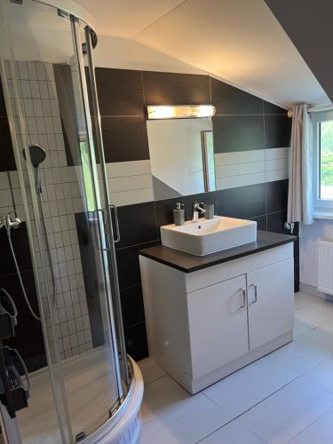 a bathroom with a sink and a shower at Apartman Na Bubnu in Náchod