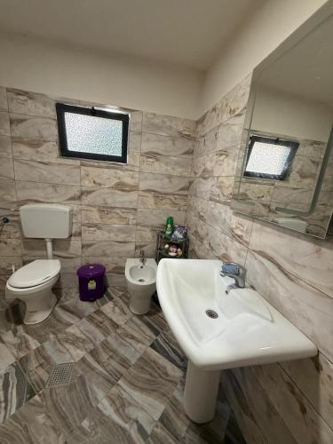 a bathroom with a sink and a toilet and a mirror at Lulebore Guesthouse in Lekbibaj