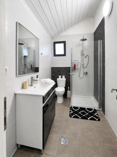 a bathroom with a sink and a shower and a toilet at אתנחתא בירדן in Mishmār Hāyardin