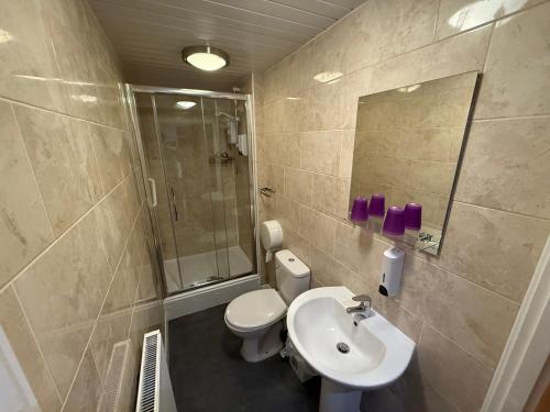 a bathroom with a toilet and a sink and a shower at White Horse Tavern in Telford