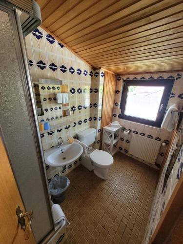 a bathroom with a toilet and a sink at Pension Schöne Aussicht in Witzenhausen