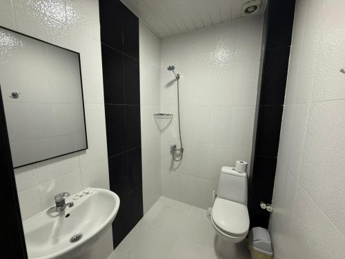a bathroom with a sink and a toilet and a mirror at Hotel Sunny Coast in Kobuleti