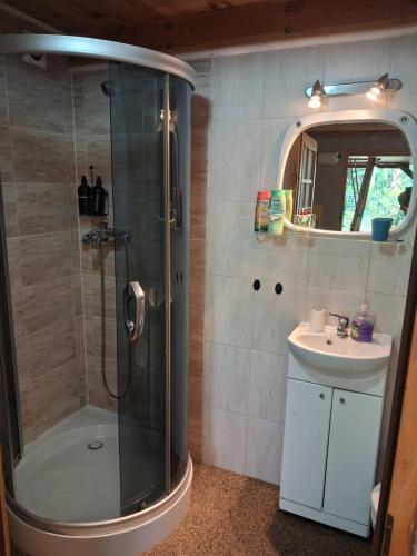 a bathroom with a shower and a sink at Domek Letniskowy Ewa in Turawa