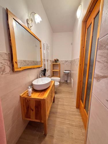 a bathroom with a sink and a toilet and a mirror at I Tre Pozzi in Faccia di Trippa