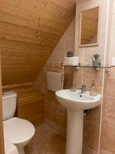 a bathroom with a toilet and a sink at Pension MÍŠA in Velká Úpa