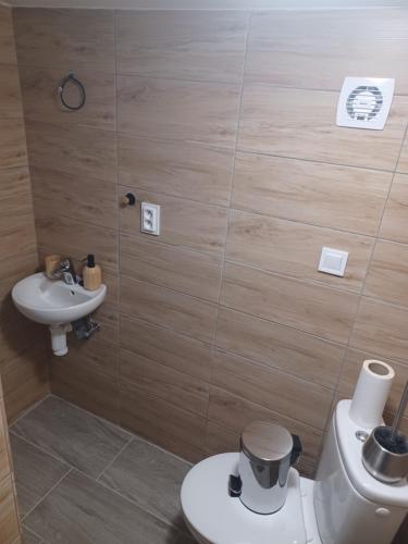 a bathroom with a toilet and a sink at Rekreačná chata TERASA in Železničná Stanica Šiatoroš