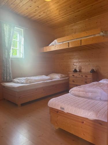 two bunk beds in a wooden room with a window at Hafslo hytteutleige Straumane in Luster