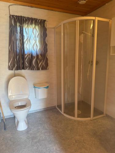 a bathroom with a toilet and a shower at Hafslo hytteutleige Straumane in Luster