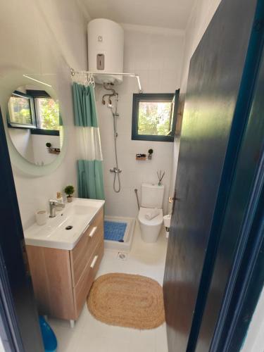a small bathroom with a toilet and a sink at Brilliance Sea View Apartments in Ouranoupoli