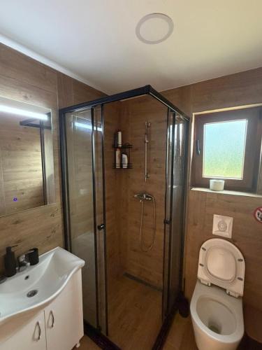 a bathroom with a shower and a toilet and a sink at Viaggio Berane in Berane