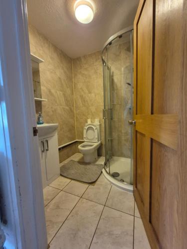 a bathroom with a toilet and a glass shower at Quiet and professional friendly in Cardiff