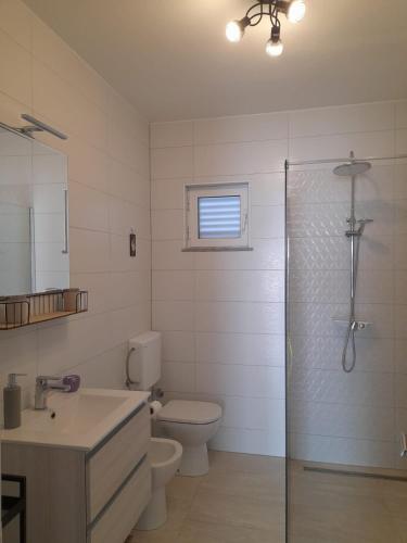 a bathroom with a toilet and a sink and a shower at Villa Marina in Poljica