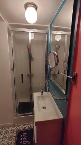 a bathroom with a sink and a shower with a mirror at l'oasis de paix in Dijon