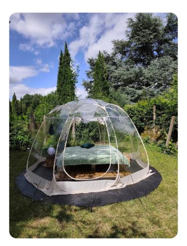 a bed in a dome tent in the grass at Les pieds dans l'eau Tente transparente in Fleurville