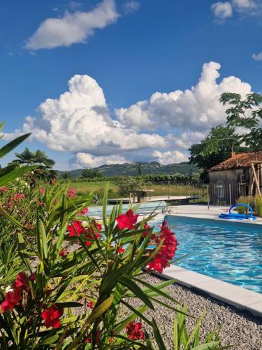 a swimming pool with flowers in the foreground at Vila Dobra in Dobravlje