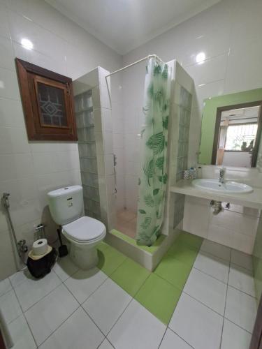 a bathroom with a shower and a toilet and a sink at Quinta de 4 Pilares in Canavial